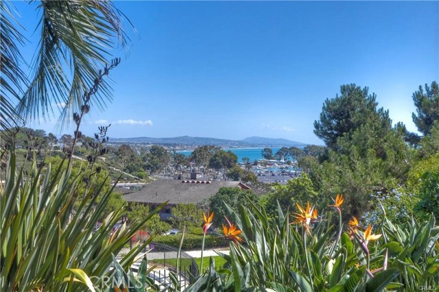 34382 Port Lantern, Dana Point, California 92629, 4 Bedrooms Bedrooms, ,4 BathroomsBathrooms,Residential Lease,For Rent,34382 Port Lantern,CRLG24137360