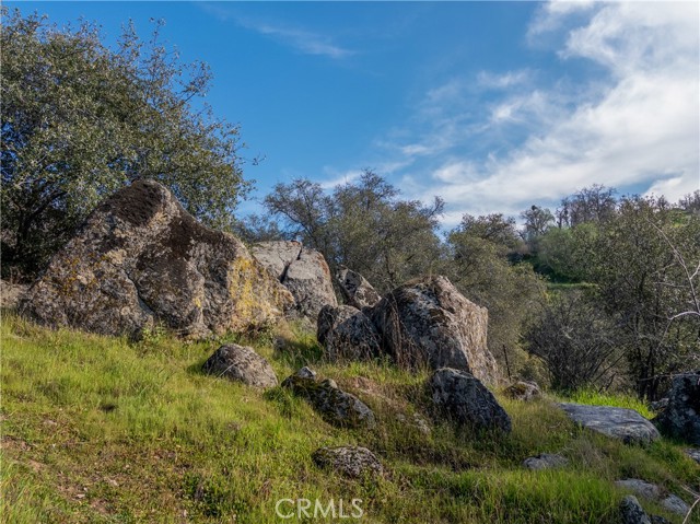 Detail Gallery Image 46 of 49 For 38758 Aster, Squaw Valley,  CA 93675 - 3 Beds | 2/1 Baths