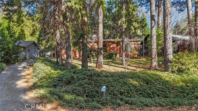 Front Image Thumbnail for CRPA25264146