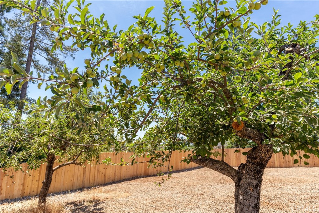 https://media.crmls.org/medias/fb0360c7-ade5-4114-8909-9581b0c3d6c3.jpg?preset=X-Large