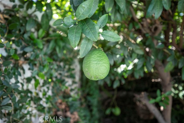 Detail Gallery Image 34 of 38 For 528 Spencer St, Glendale,  CA 91202 - 3 Beds | 2 Baths