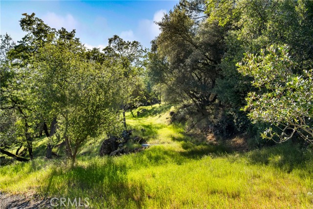 Detail Gallery Image 12 of 31 For 0 Iron Mine Rd, Auburn,  CA 95602 - – Beds | – Baths