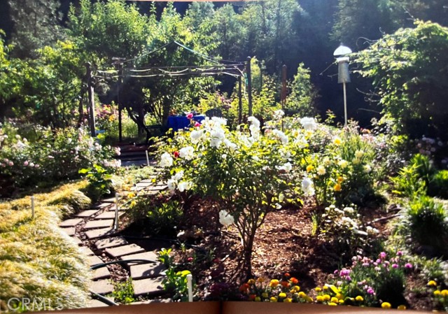 Detail Gallery Image 25 of 47 For 19942 Old Mill Rd, Lakehead,  CA 96051 - 2 Beds | 1/1 Baths