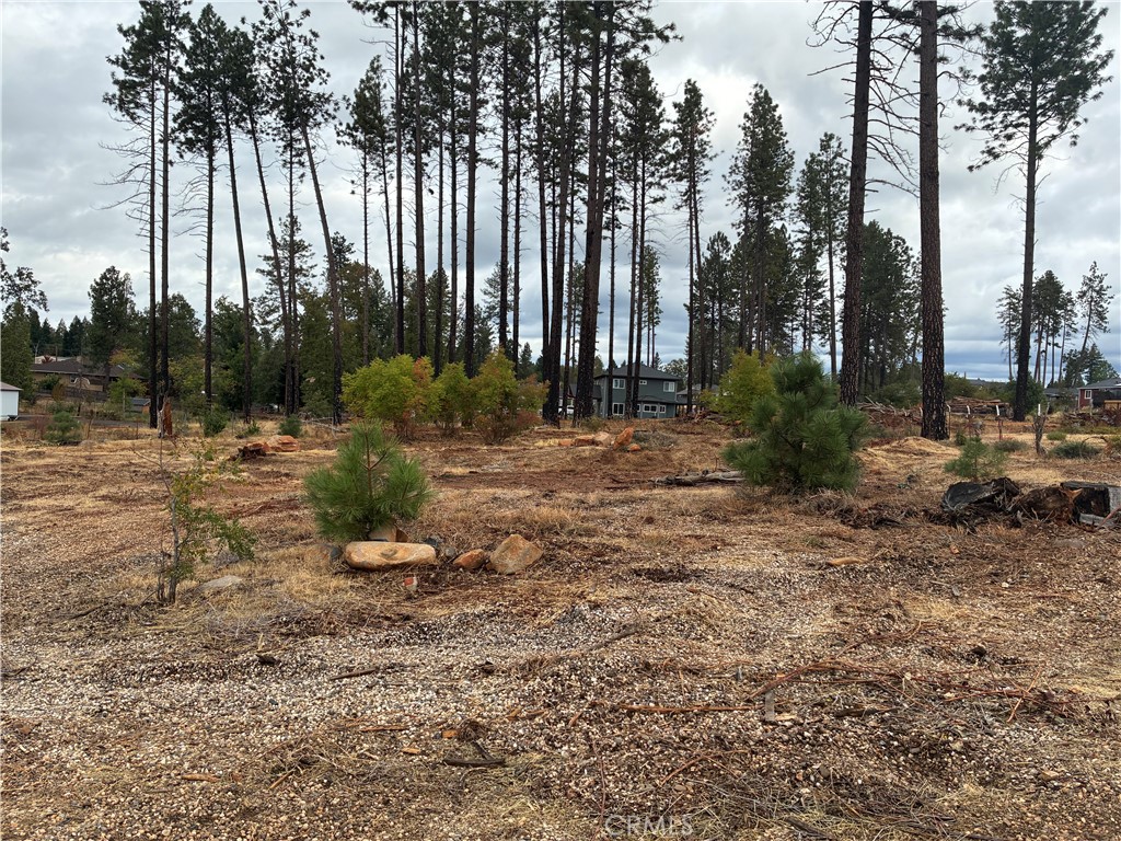 MLS #SN25230982 image #2