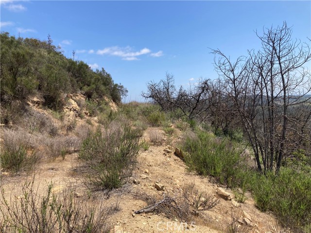 Front Image Thumbnail for CRSW26088284