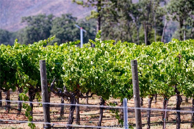 20756 State Highway 175, Middletown, CA, 95461 20756 State Highway 175, Middletown, CA, 95461