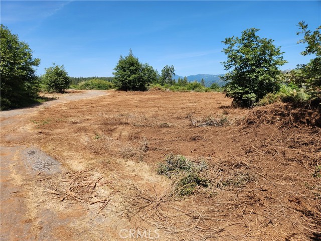 14248 Monte Calle Lane, Magalia CA: https://media.crmls.org/medias/fb226de8-0cd4-4dc6-beb0-219514025e75.jpg