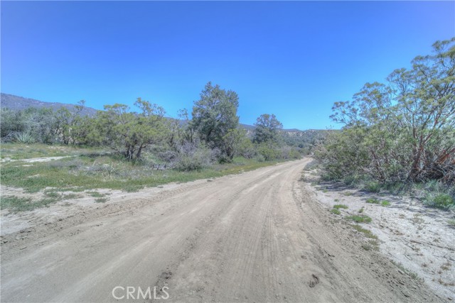 15 Old Forest Road, Anza, CA, 92539 15 Old Forest Road, Anza, CA, 92539