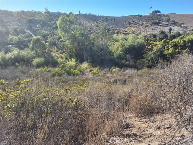 Detail Gallery Image 14 of 25 For 0 via Puerta Del Sol, Bonsall,  CA 92003 - – Beds | – Baths