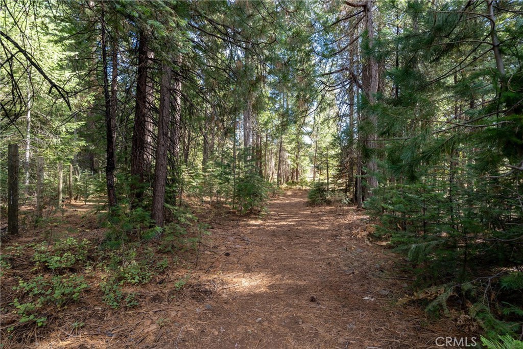 https://media.crmls.org/medias/fb259167-a2dc-432a-8c19-67df97b44024.jpg?preset=X-Large