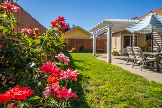 Detail Gallery Image 36 of 45 For 216 Aspen Way, Red Bluff,  CA 96080 - 4 Beds | 2 Baths