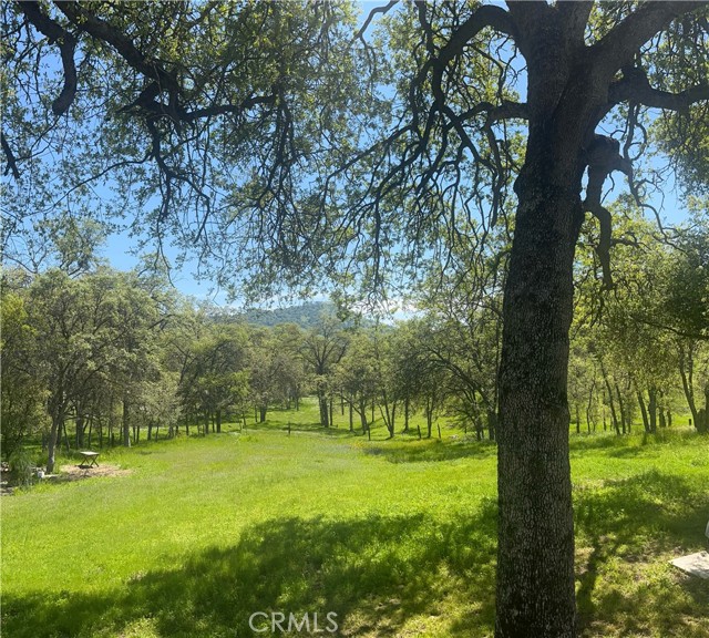 29503 Spence Lane, Tollhouse CA: https://media.crmls.org/medias/fb2cb568-db8a-4a23-808a-cf83e048c45d.jpg
