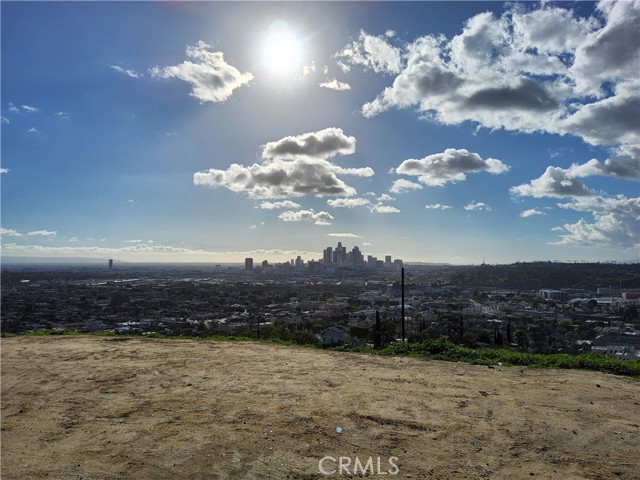 2931 Thomas Street, Los Angeles, California 90031, ,Land,For Sale,2931 Thomas Street,CRPW24023934