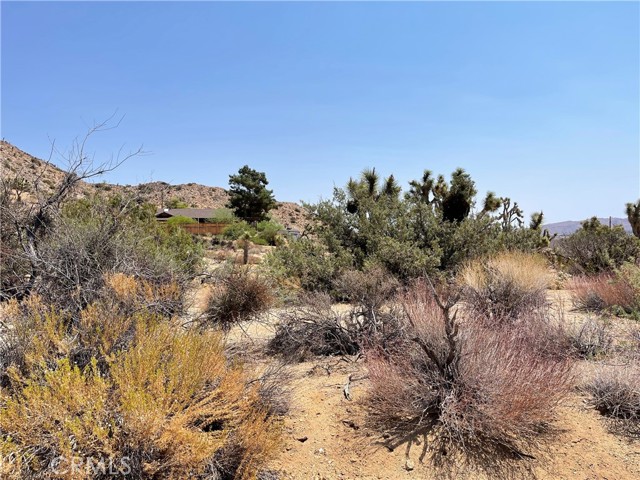 Image 2 for 55750 Desert Gold Dr, Yucca Valley, CA 92284