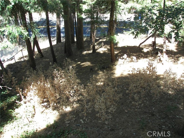 24798 Bernard Drive, Crestline CA: https://media.crmls.org/medias/fb35169e-95e6-4b8b-b332-1709b1556573.jpg