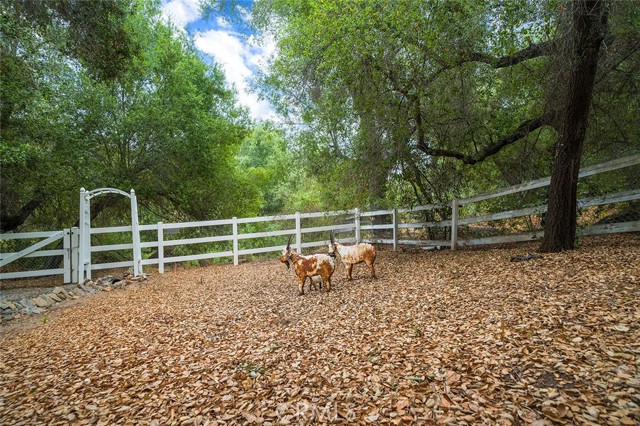 40860 Calle Bandido, Murrieta CA: https://media.crmls.org/medias/fb36a6ed-89ed-4a11-bce6-e6ef47f213b9.jpg