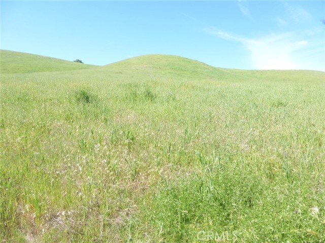 Detail Gallery Image 38 of 44 For 0 Douglas Rd. (Lot 34), San Miguel,  CA 93451 - – Beds | – Baths