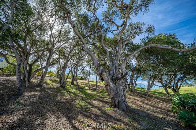 Detail Gallery Image 48 of 60 For 632 S via Belmonte Ct, Arroyo Grande,  CA 93420 - 3 Beds | 3 Baths