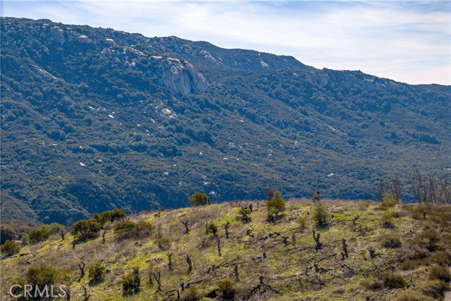 Detail Gallery Image 6 of 12 For 5 via Gorrion, Temecula,  CA 92590 - – Beds | – Baths