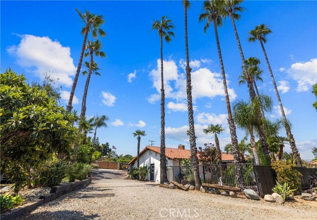 Detail Gallery Image 38 of 39 For 29612 Spotted Bull Ln, San Juan Capistrano,  CA 92675 - 4 Beds | 2 Baths