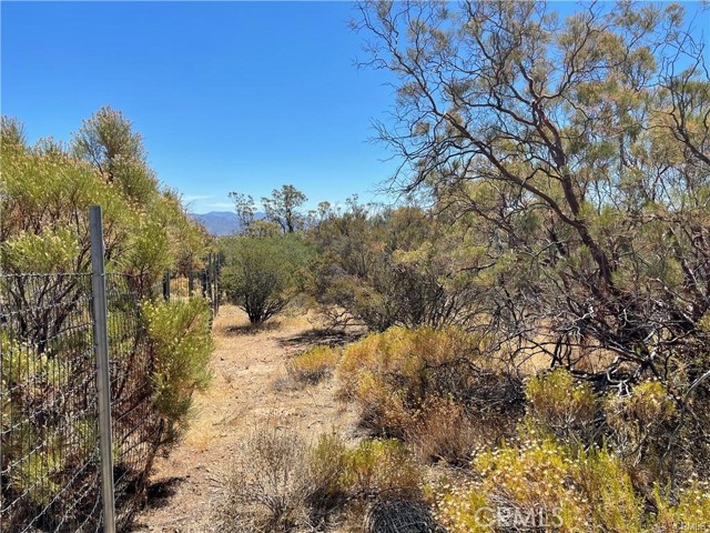 0 Rosamond, Anza, California 92539, ,Land,For Sale,0 Rosamond,CRSW24034432