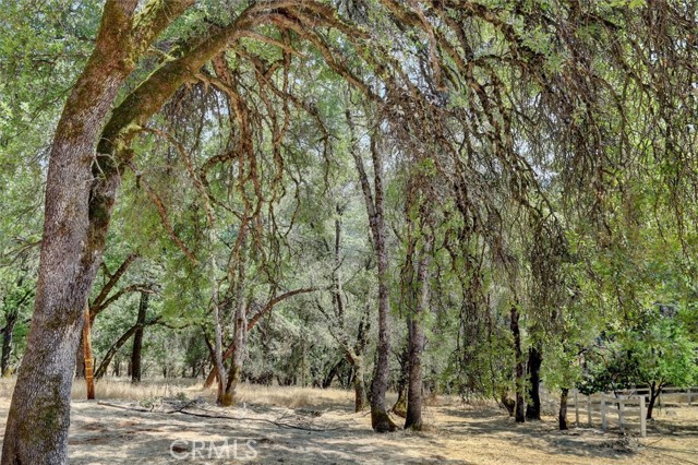 Detail Gallery Image 4 of 21 For 19555 Black Oak Ln, Grass Valley,  CA 95949 - 4 Beds | 4/2 Baths