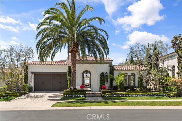 Front Image Thumbnail for CROC25265016