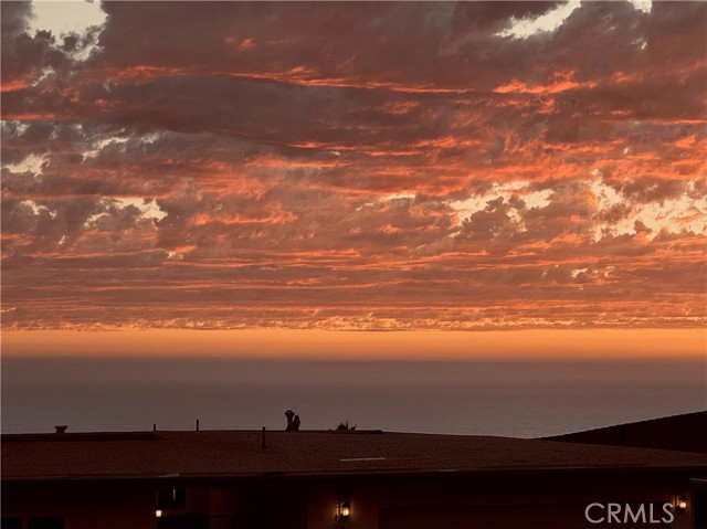 Front Image Thumbnail for CROC25236989