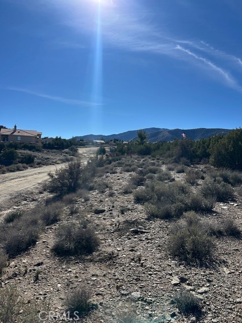 Detail Gallery Image 11 of 11 For 0 Sky Line Dr, Pinon Hills,  CA 92372 - – Beds | – Baths