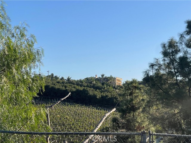 4438 Via De Los Cepillos, Bonsall, California 92003, 7 Bedrooms Bedrooms, ,7 BathroomsBathrooms,Residential,For Sale,Via De Los Cepillos,IV24102895