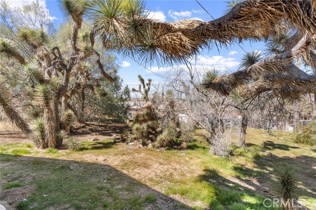 Detail Gallery Image 12 of 49 For 56620 Hidden Gold Drive, Yucca Valley,  CA 92284 - 3 Beds | 2 Baths