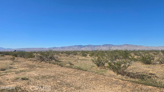 Front Image Thumbnail for CRSR25235251