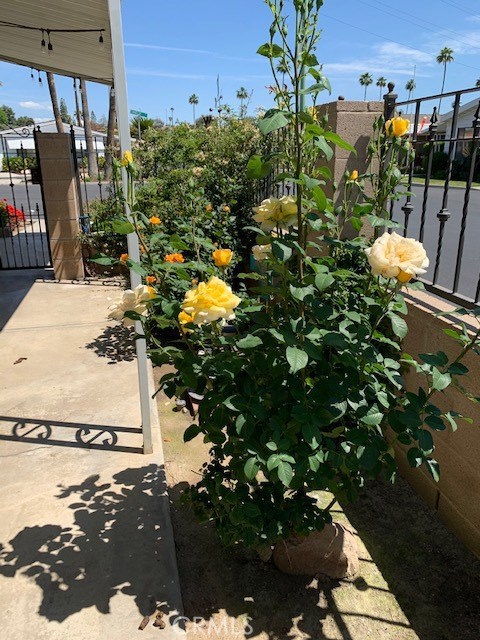 4401 Camelot Place, Bakersfield CA: https://media.crmls.org/medias/fb628636-fdd3-4935-aee4-d7f157720c26.jpg