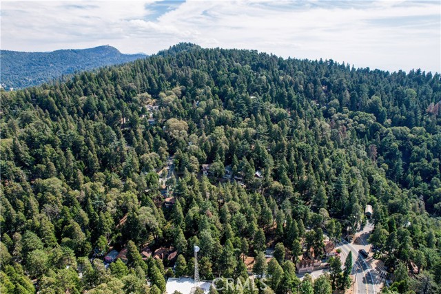 0 Crest Forest Drive, Crestline, California 92325, ,Land,For Sale,0 Crest Forest Drive,CRCV24039397