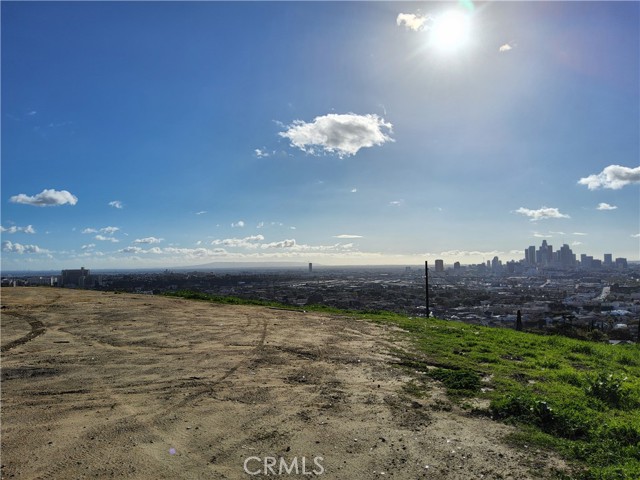 2931 Thomas Street, Los Angeles, California 90031, ,Land,For Sale,2931 Thomas Street,CRPW24023934