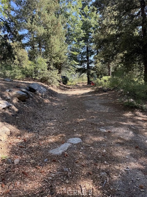 0 Ca-38, Angelus Oaks CA: https://media.crmls.org/medias/fb796a3a-5747-45e6-925d-d6589665dcd8.jpg