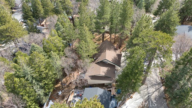 Detail Gallery Image 3 of 50 For 26416 Apache Trl, Rimforest,  CA 92378 - 3 Beds | 2 Baths