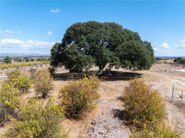 27 Wellsona Road, Paso Robles CA: https://media.crmls.org/medias/fb7e8ac8-f783-488c-9220-657e7ff63956.jpg