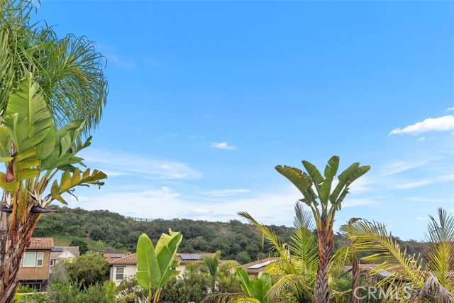 19 Via Cuenta Nueva, San Clemente CA: https://media.crmls.org/medias/fb7f7e6c-fd24-4c47-8966-a4ea4a1cf2aa.jpg
