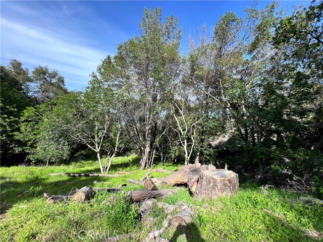 Detail Gallery Image 3 of 5 For 3356 Southlake Ct, Kelseyville,  CA 95451 - – Beds | – Baths