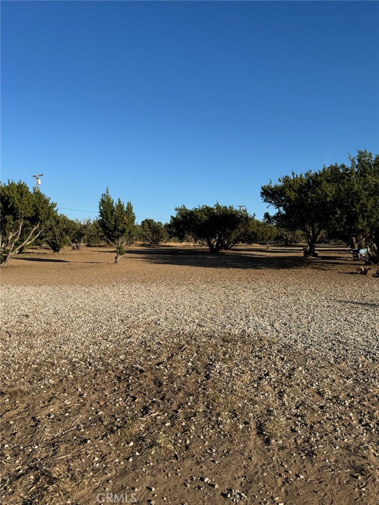https://media.crmls.org/medias/fb8f2174-0655-45fc-b50f-d6ccfe832d64.jpg?preset=X-Large