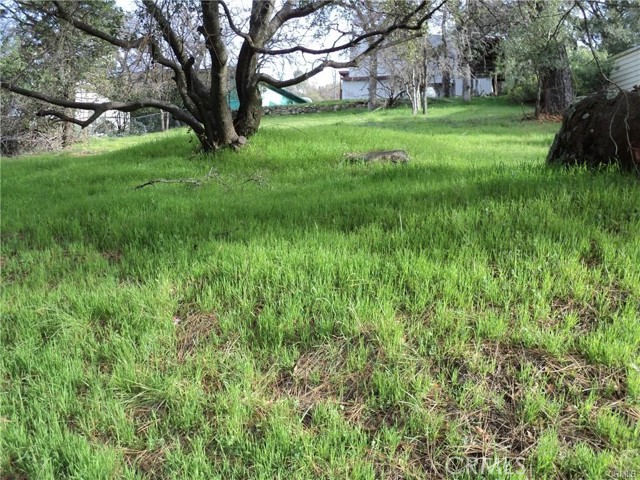 0 Silver Leaf Drive, Oroville, CA, 95966 0 Silver Leaf Drive, Oroville, CA, 95966