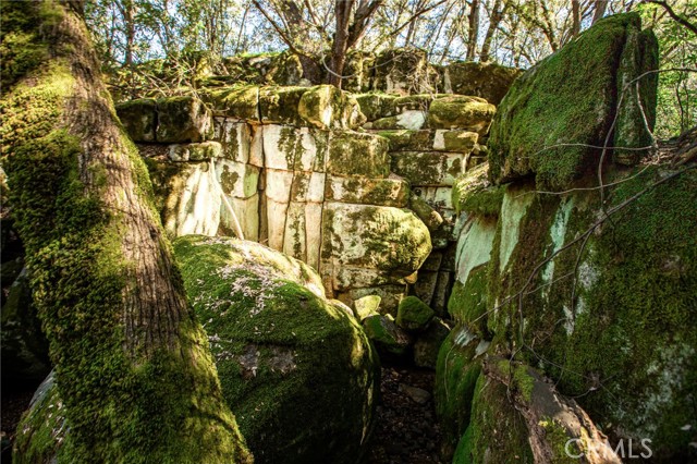 Detail Gallery Image 7 of 74 For 44981 Todd Eymann Rd, Miramonte,  CA 93641 - 1 Beds | 1 Baths