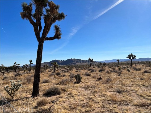 59347 Aberdeen Drive, Yucca Valley, California 92284, ,Land,For Sale,59347 Aberdeen Drive,CRIV24248088