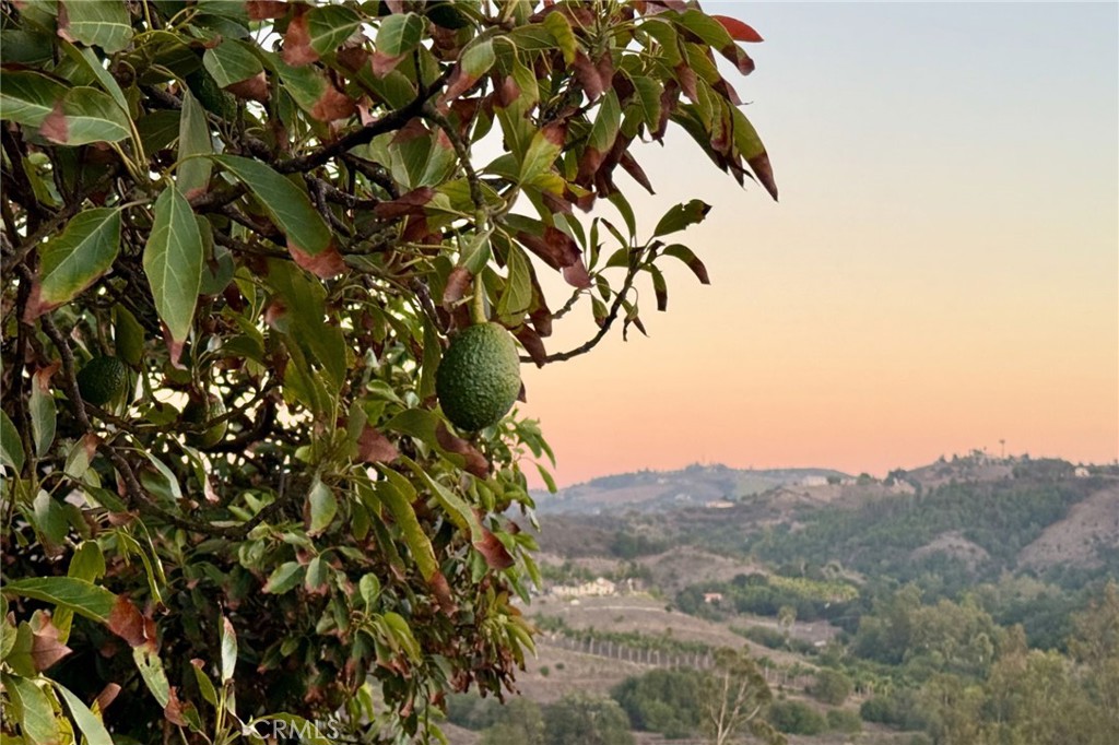 MLS #SW25223486 image #74