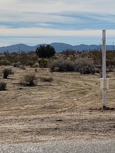 Please take a flyer box full now