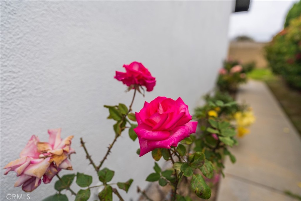 https://media.crmls.org/medias/fbaecf04-8c84-4673-9c5b-a70ba7834ba2.jpg?preset=X-Large