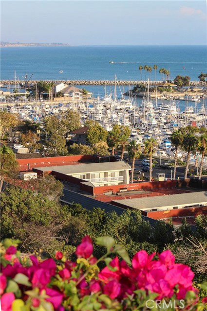 34561 Calle Portola, Dana Point CA: https://media.crmls.org/medias/fbb502d7-11a7-44b9-bea8-7a782c0bbffc.jpg