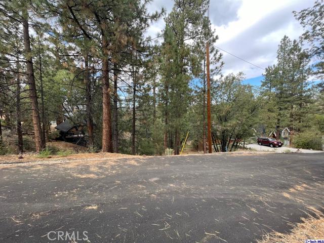 600 Travertine Road, Big Bear City, California 92314, ,Land,For Sale,600 Travertine Road,CRGD24038004