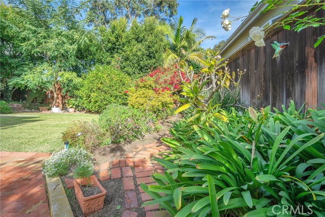 View of the enclosed back yard from the east wall